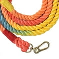 thumbnail image 5 of Dog Handcrafted Dog Leash Multifunctional Double Head Braiding Dog Training Leash with Gold Accessories for Running, 5 of 5