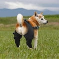 thumbnail image 3 of Adjustable Canine Hip Brace with Leg Support and Protective Joint Wrap for Recovery, 3 of 5