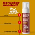 thumbnail image 3 of Champú en seco OH NORMAN! Hipoalergénico Magic Mandarin 210 mL, 3 of 7
