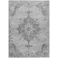thumbnail image 2 of Addison Rugs Chantille Indoor/Outdoor Traditional Global Gray Machine Washable Rectangle Rug, 9' x 12', 2 of 8