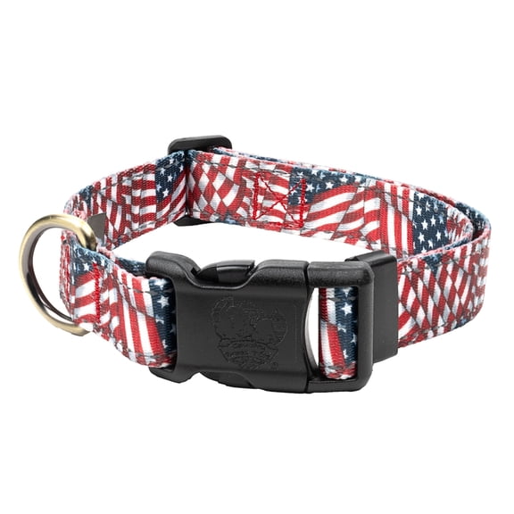 Country Brook Petz® Patriotic Tribute Everyday Reflective Dog Collar, Medium
