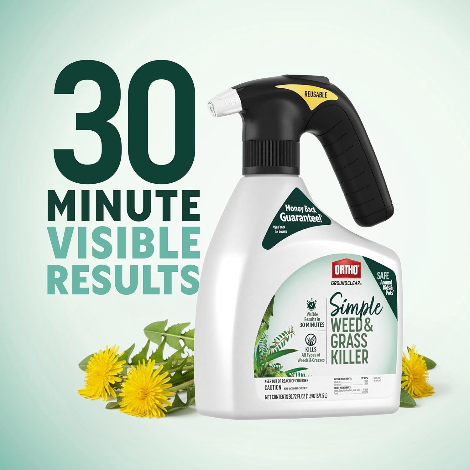 GroundClear Simple Weed and Grass Killer, Kills All Types of Weeds Grasses, for Gardens, Patios, More, 1.5 L