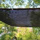 thumbnail image 2 of 1 red de sombra negra con 8 agujas de sombra, 80 % reforzada, gruesa, resistente al viento, para invernadero, con ojales para cubierta vegetal, invernadero, jardín o pérgola (3 m x 5 m), 2 of 5