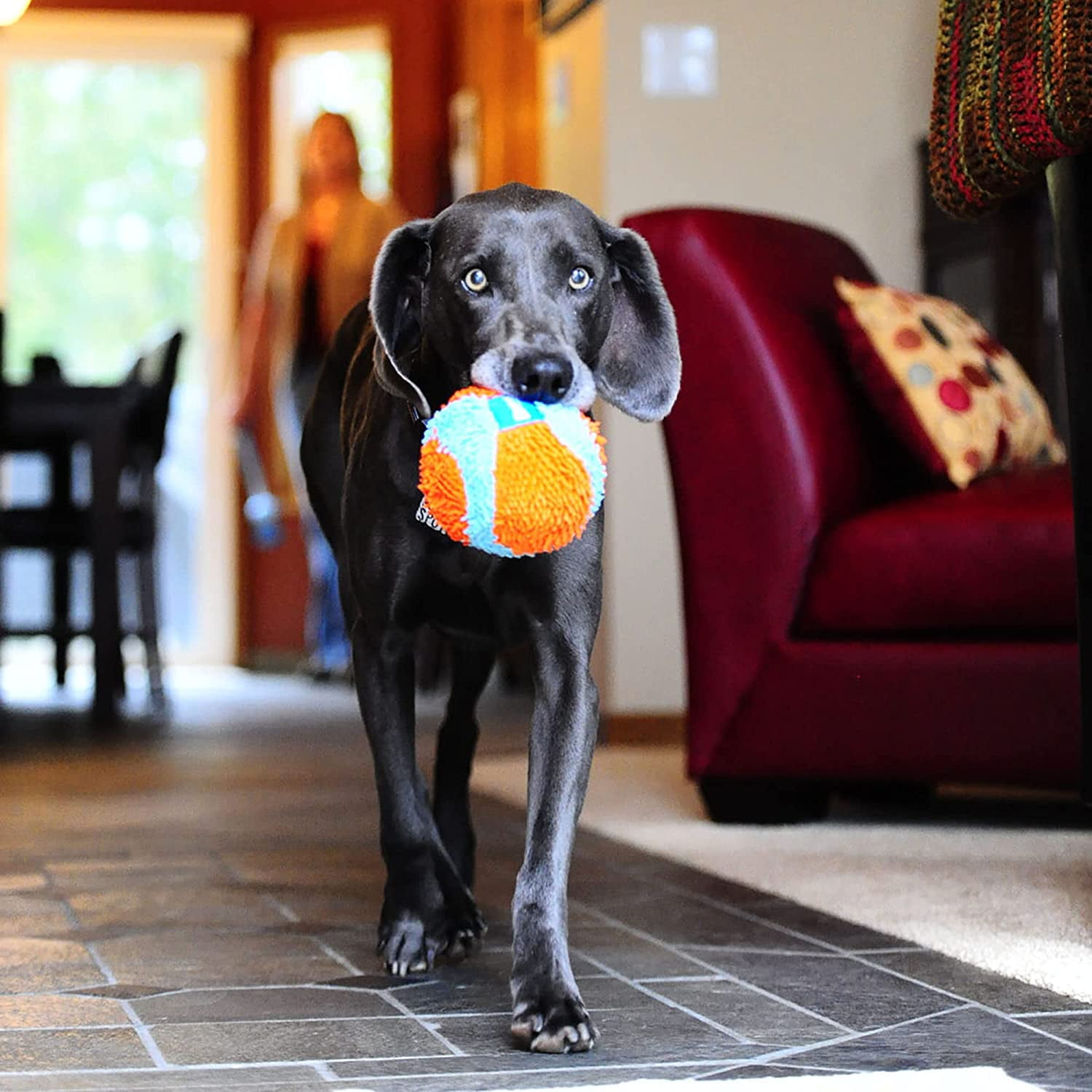 Chuckit! INDOOR FETCH TOYS Dog & Puppy Soft Interactive Play ROLLER BALL 2 PACK