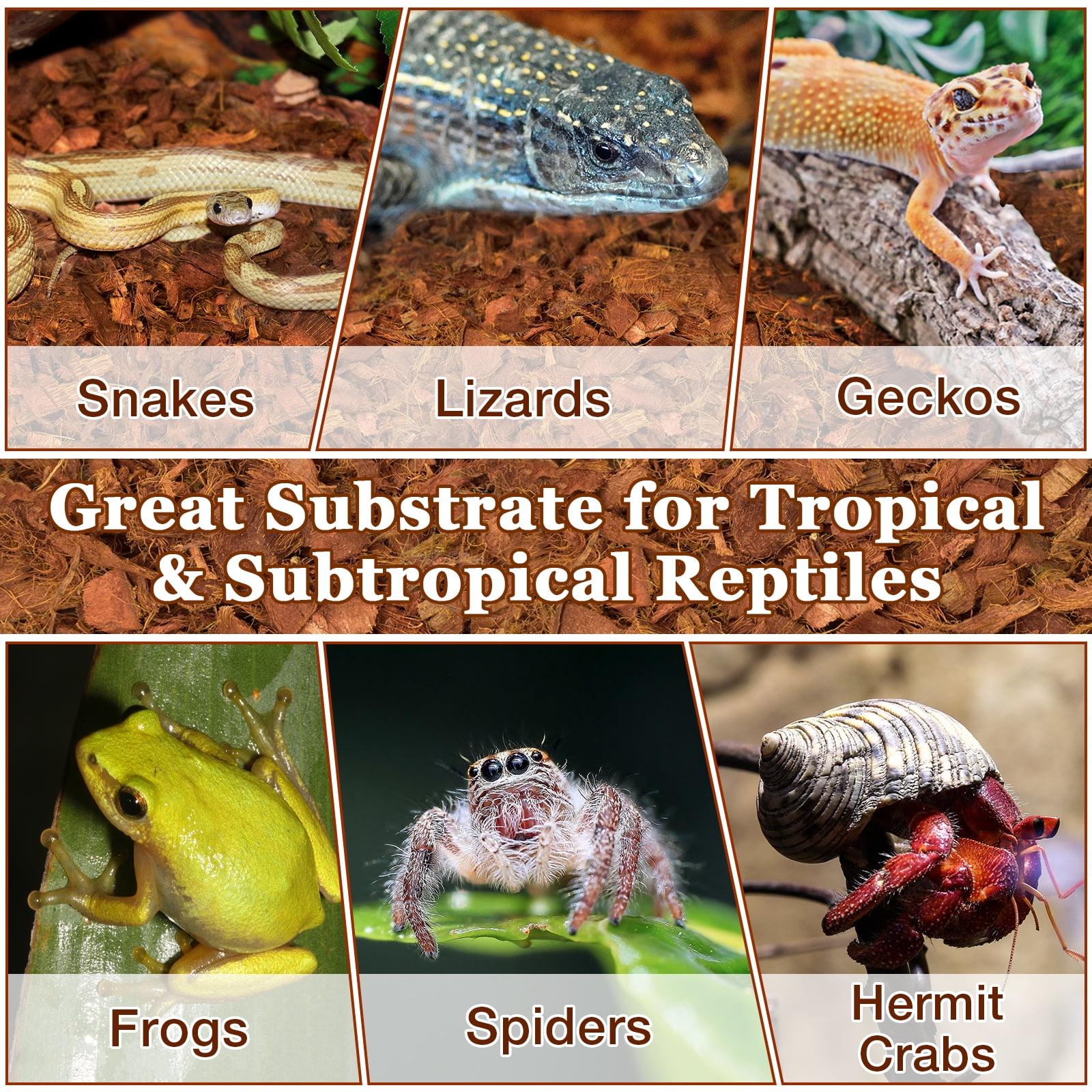 Halatool 10LB Natural Coconut Husk Chips, Premium Reptile Bedding & Terrarium Substrate for Snakes, Lizards, Frogs, and Small Animals