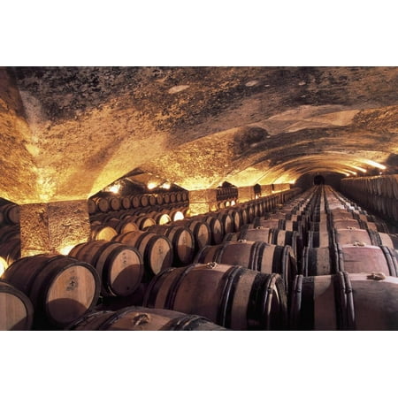 High Angle View of Wooden Barrels Maturing Wine in a Winery, Meursault Castle, Burgundy, France Print Wall