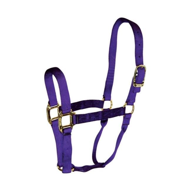 Hamilton 1QAVPU Nylon Horse Halter Purple