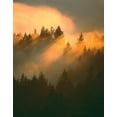 thumbnail image 2 of Delimont, Danita 26x32 Gold Ornate Wood Framed with Double Matting Museum Art Print Titled - Morning Amber, 2 of 4