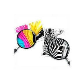 HP Printer Ink | Walmart.ca