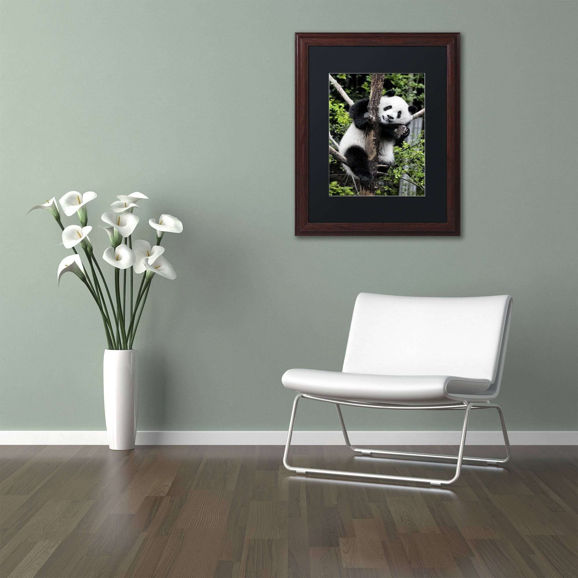 Trademark Fine Art "Giant Panda II" Canvas Art by Philippe Hugonnard, Black Matte, Wood Frame