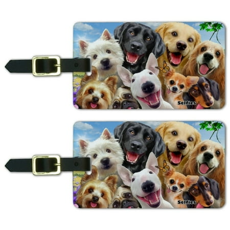 Boston Terrier Luggage Tag Dogs Selfie Lab Golden Retriever Dachshund Westie Pug Terrier Luggage ID Tags Suitcase Carry-On Cards - Set of 2 ()