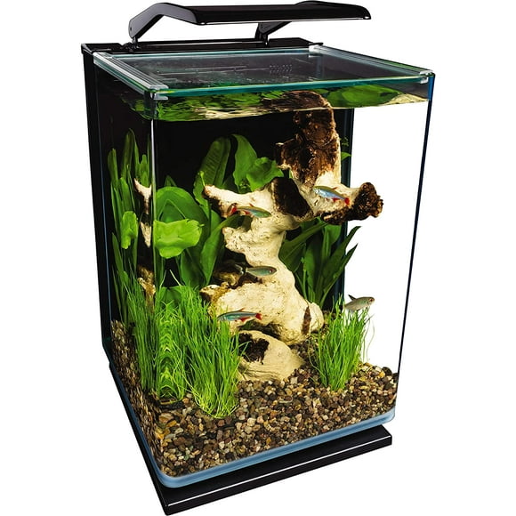 Kit d'Aquarium à LED en Verre Portrait, 5 Gallons, Filtration Cachée