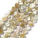 thumbnail image 1 of Drawbench Style Natural Freshwater Shell Beads Strands AB Color Plated Heart Colorful 10x10~10.5x3mm Hole: 0.5mm about 37~38pcs/strand 13.07~13.31 inch(33.2~33.8cm), 1 of 4