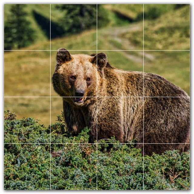 Picture-Tiles.com: Bear Ceramic Tile Wall Mural WAL500129-44S. 17"W x 17"H using (16) 4.25" x 4.25" Ceramic Tiles-Satin Finish