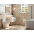 thumbnail image 3 of DV-1F0073 Ally Bathroom Toielt, One-Piece Toielt Dual-Flush Elongated Floor Mounted Toilet with White Glazed Surface(Seat Included), 3 of 13