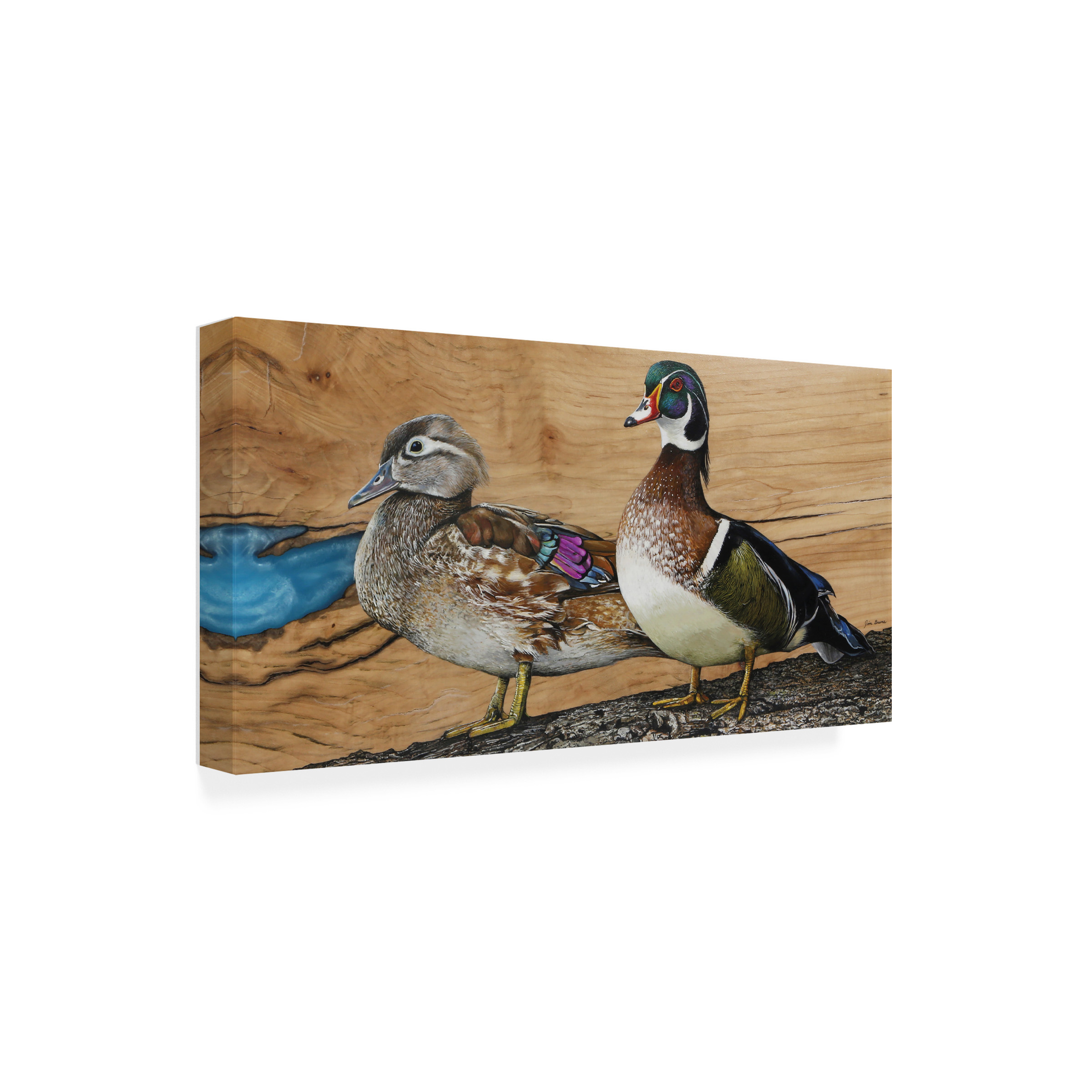 Canvas Wall Art - Jim Brune 'Wood Ducks Home Sweet Home' Wall Art for Living Room, Bedroom, or Office Décor by Trademark Fine Art - 19 x 10 Inches