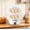 AA3717, variant on Egg Cooker Mini Stainless Steel Household Double Layer Boiled Eggs Breakfast Maker Small Home Electricity Appliance For Soft Or Hard Eggs