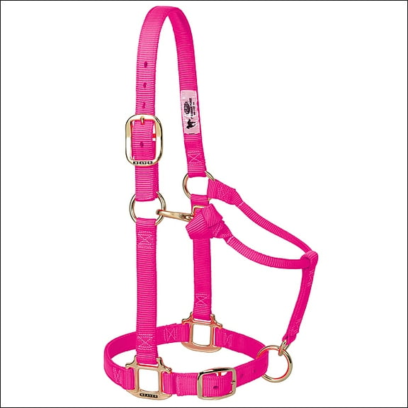 Weaver Leather Original Adjustable Nylon Weanling / Suckling / Arabian Horse Halter 3/4" Diva Pink / Weanling