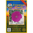 thumbnail image 2 of Everwilde Farms - 1 lb Wine Cup Native Wildflower Seeds - Gold Vault Bulk Seed Packet, 2 of 3