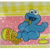 Sesame Street Beginnings 'B is for Baby' Small Cookie Monster Napkins (16ct)