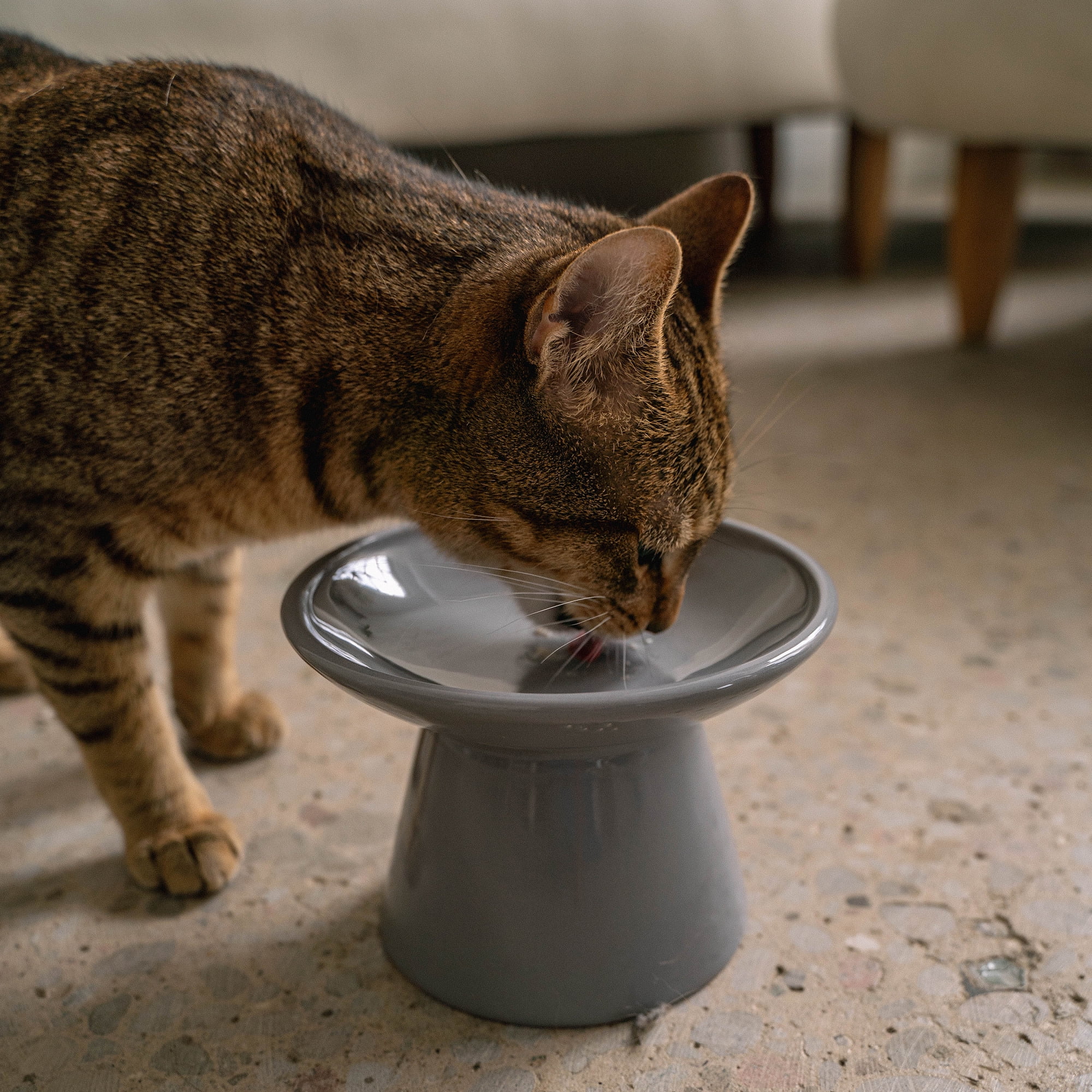 Dexypaws: Flat Top Ceramic Cat Bowl - Grey - 7.5oz, Pet Feeding Dish, Meals, Food & Water, Raised Ergonomic Height, Whisker Friendly, Stylish Design