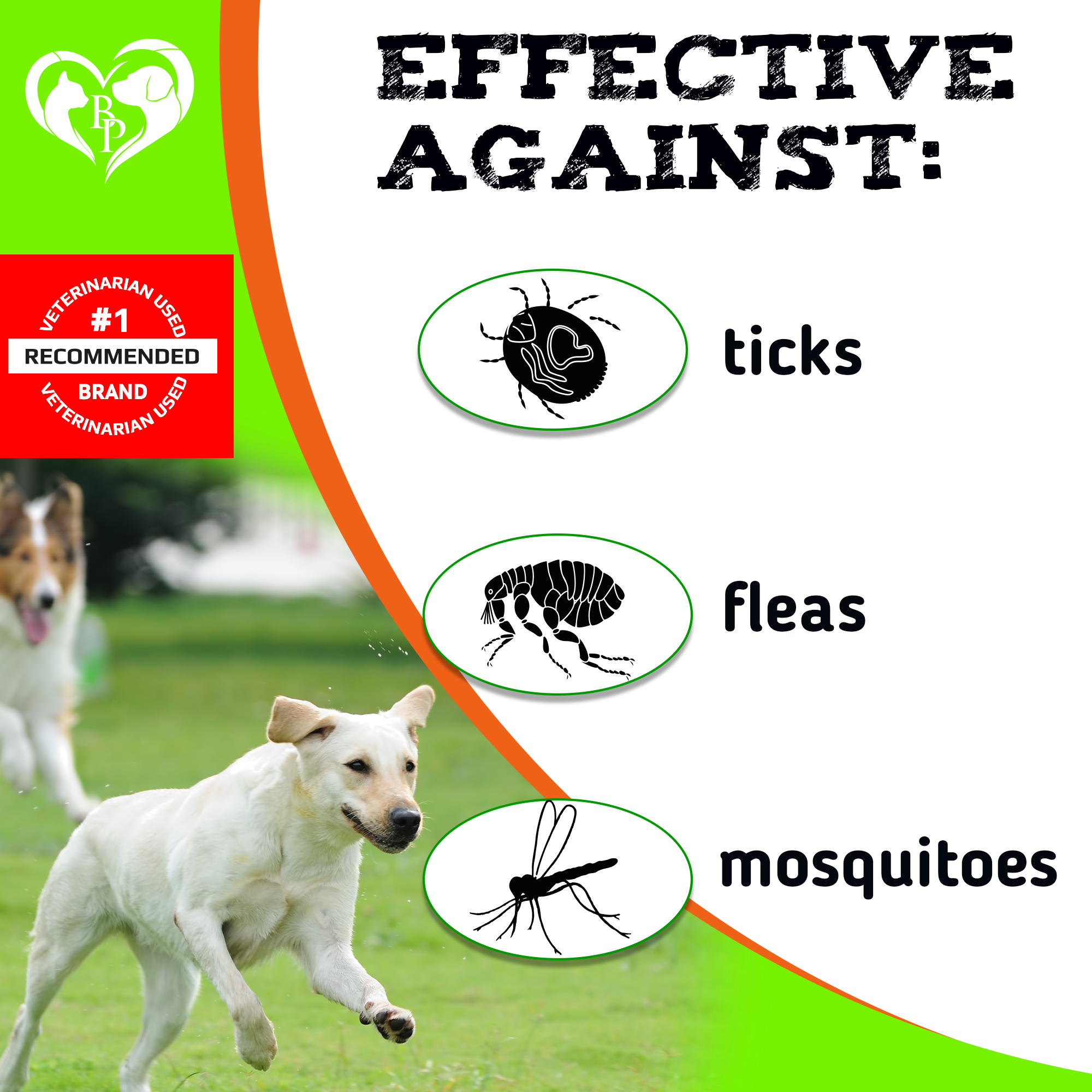 Buy Beloved Pets Flea and Tick Control Treats for Pets Made in USA