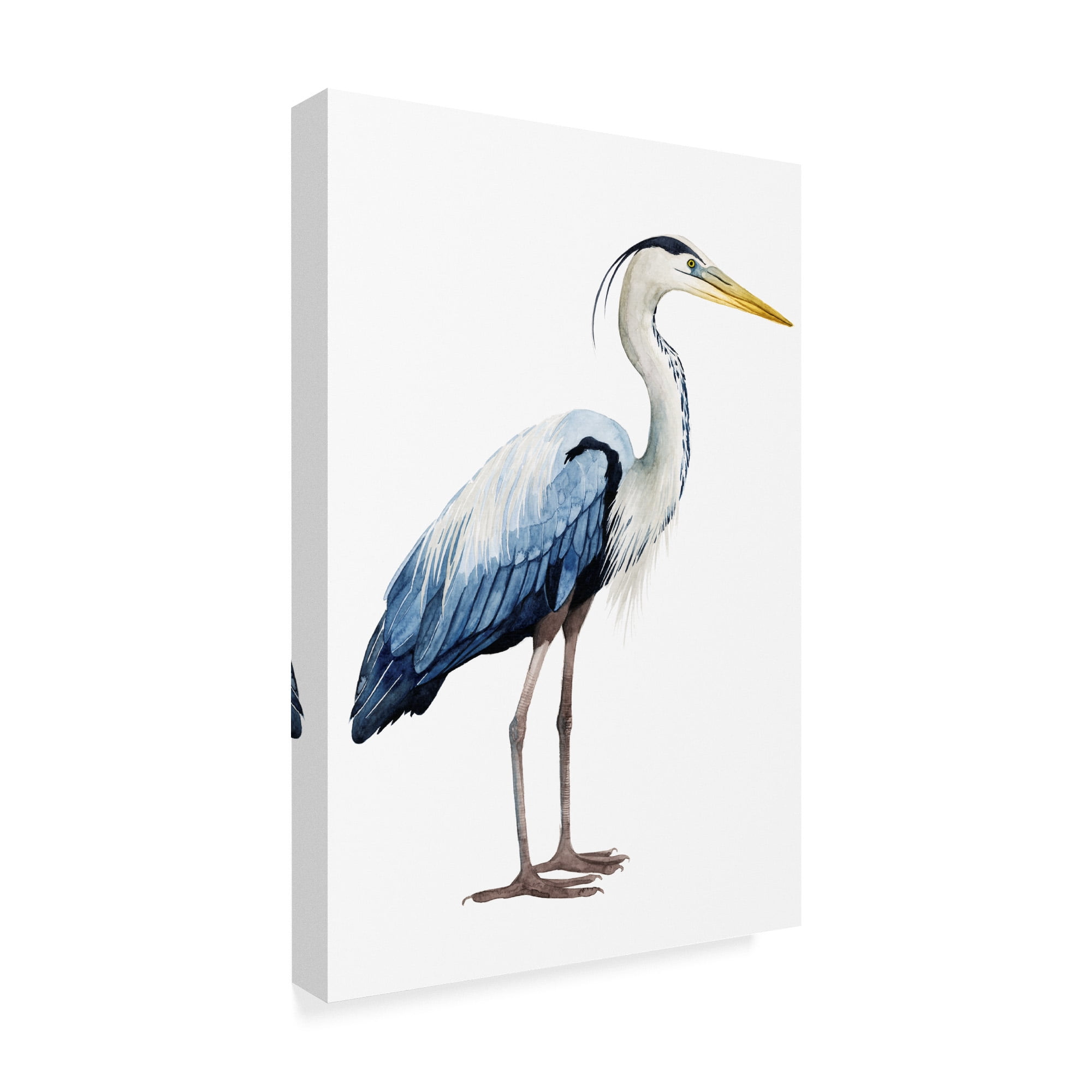 Trademark Fine Art 'Seabird Heron II' Canvas Art by Grace Popp