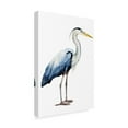 thumbnail image 2 of Trademark Fine Art 'Seabird Heron II' Canvas Art by Grace Popp, 2 of 4