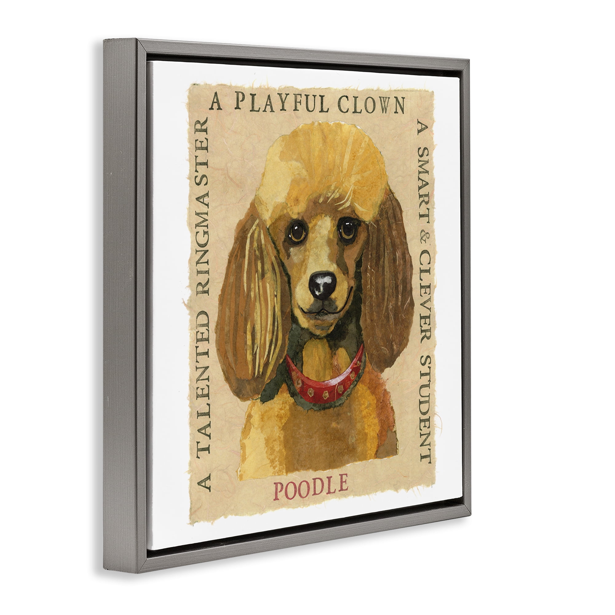 Stupell Industries Fun Poodle Pet Phrases Animals Painting Gray Floater Framed Canvas Art Print Wall Art, 25 x 25