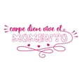 thumbnail image 3 of Spanish Wall Decals for Boys Bedroom - Carpe diem vive el momento Motivational Inspirational Phrase in Spanish Home Wall Sticker - Size: 10 In x 5 In, 3 of 5