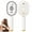 02 White, variant on 5-In-1 Silk Glide Styler Reineblume Hair Brush, Electric Hair Brush Straightener Steamer Spray