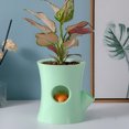 thumbnail image 7 of SPRING PARK Succulent Pot Cute Squirrel Water-saving Planter Bonsai Box Plant Bed Office Home Garden Pot Decoration, 7 of 7