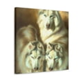thumbnail image 2 of Frosty Siberian Husky - Canvas, 2 of 10