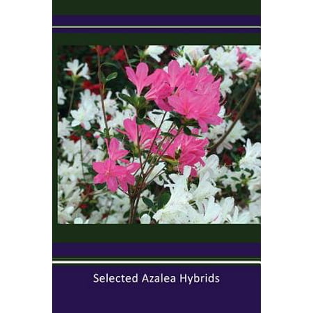 - Selected Azalea Hybrids