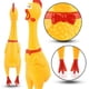 thumbnail image 3 of Pollo de goma/pollo exprimido, juguete novedoso de broma, 3 of 5