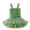Green, variant on MEZZALL Baby Girls Mesh Tutu Dress Sleeveless Spaghetti Rainbow Tutu Princess Skirt Dress Breathable, 18-24 Months