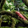 thumbnail image 2 of Moss Vine for Reptiles, Bendable Climbing Vines Reptile Tank Accessories, Natural Moss Rope for Leopard Gecko, Lizard, Snake, Chameleon, Frog Terrarium Decor (Jungle Green, 9.8 FT), 2 of 7