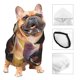 thumbnail image 3 of Balery Adorable Fluffy Bat Sudadera con Capucha para Perros Pequeños – Ropa para Mascotas, Disfraz para Perros y Gatos, Ideal para Fiestas y Cosplay-X-Large, 3 of 7