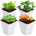 thumbnail image 6 of SHZAITOR 5/10 PACK Re-usable Square Nursery Pot 10 Gallon Plastic Grow Pots Plant, 6 of 7