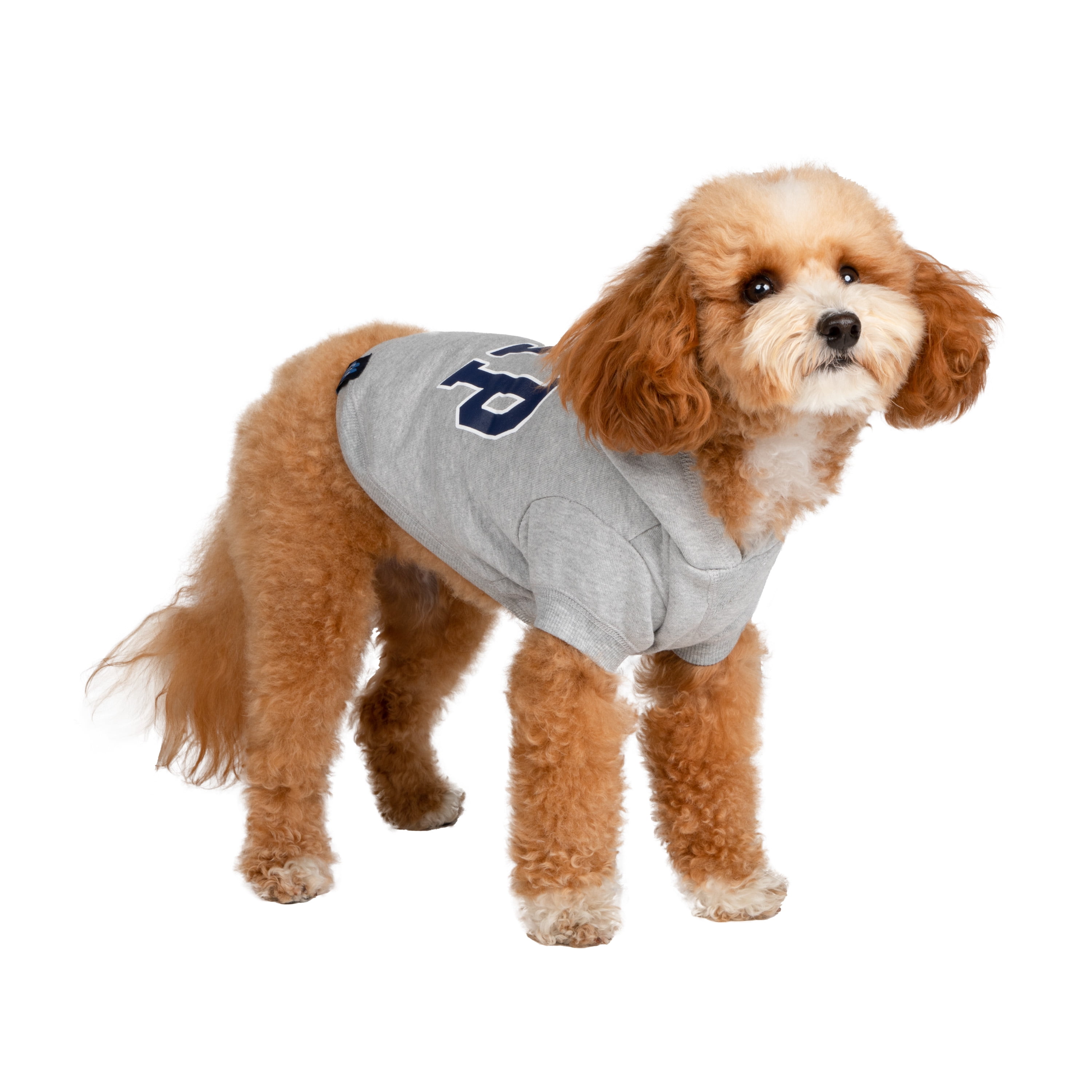 Gap Pet, Dog Clothes, Gray Classic Pet Hoodie
