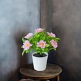 thumbnail image 4 of Ltdhehe Bonsai Desk Arrangement Home Centerpiece Wedding, 4 of 5