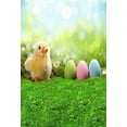 thumbnail image 2 of ABPHOTO Polyester Photography Backdrops Easter Theme Eggs Fresh Flowers Green Grass Field Spring Background for Pictures Backdrop 5x7ft, 2 of 3