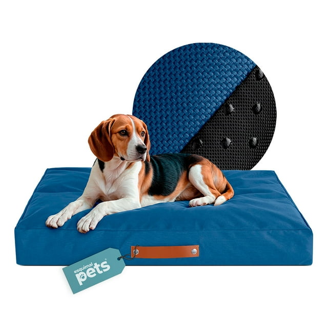 Cama Antiestrés de Foam para Perro Mediano y Gato, Colchoneta Lavable Esquimal (Azul, 80x55 cm)