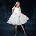 thumbnail image 2 of Vestido de niña Vestido de princesa Vestido de niña para actuación de piano Vestido de noche abullonado de pequeña anfitriona, 2 of 5