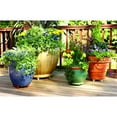 thumbnail image 3 of Bosmere Down Under Heavy Duty Plant Stand, Clear, 16in, 3 of 3