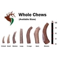 thumbnail image 3 of Elkhorn Premium Chews Monster whole (10-12” long) elk antler chew for 90+ lb dogs (1 pack) all-natural premium-grade antler bone, sourced in the USA, 3 of 6