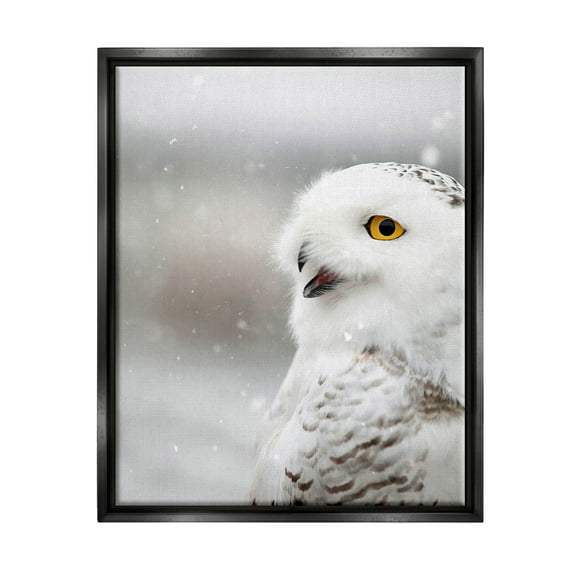 Stupell Industries Snowy Owl Winter Gaze Photograph Jet Black Floating Framed Canvas Print Wall Art, Design by Carrie Ann Grippo-Pike