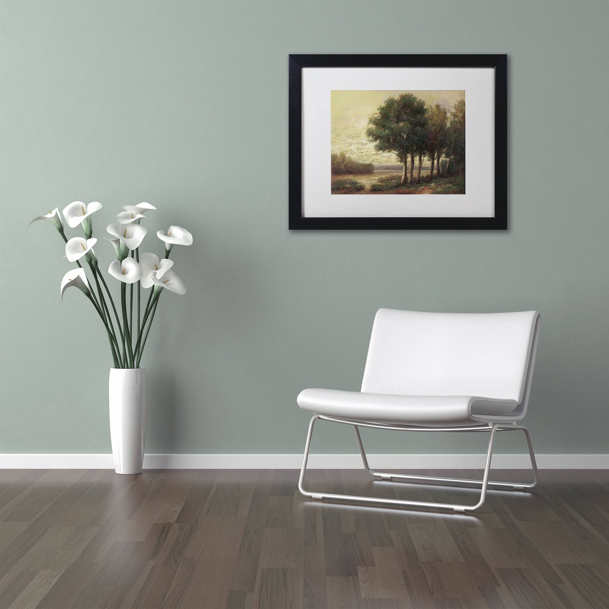Trademark Fine Art "Tranquility" Canvas Art by Daniel Moises, White Matte, Black Frame
