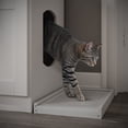 thumbnail image 6 of Palace Imports 100% Solid Wood Ziva 2-Door Cat Litter Box Enclosure with 2-Drawers and Litter Catch, White, 6 of 7