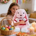 thumbnail image 6 of Free Express Easter Bunny Plush Stuffed Animal with Removable Heart Knit Sweater Soft Fluffy Rabbit Toy for Spring Home Decor Easter Gift and Playtime, 6 of 7